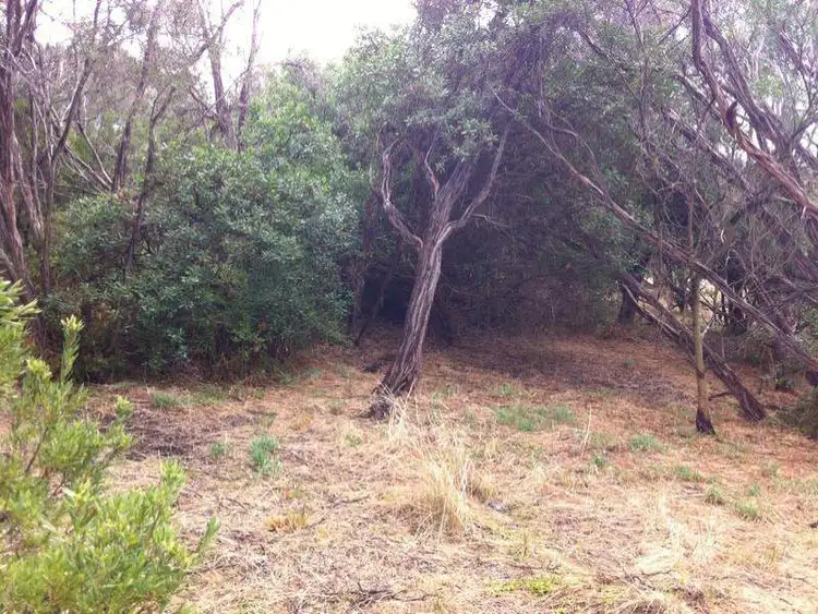 Fifth view of Homely land listing, 17 Carslake Avenue, Blairgowrie VIC 3942