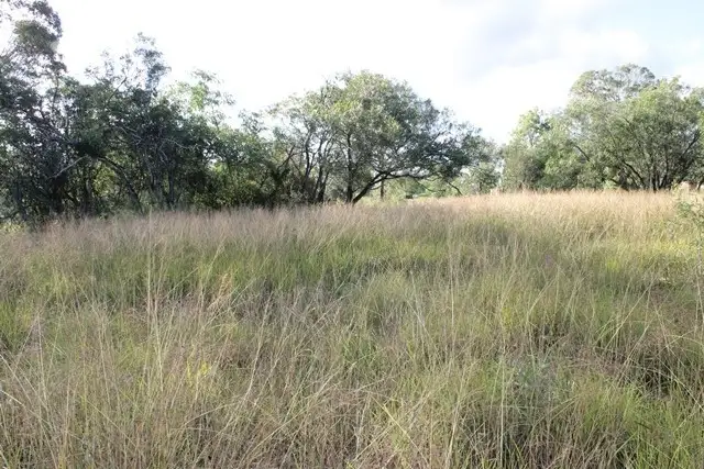 Fifth view of Homely land listing, 75 Poplar Street, Walloon QLD 4306