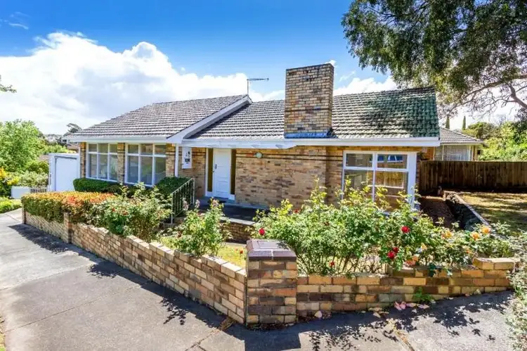 25 Middleborough Road, Burwood VIC 3125