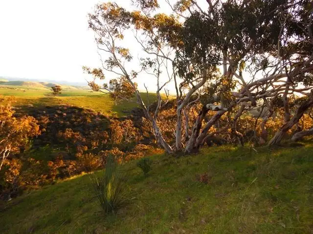 Main view of Homely rural property listing, Lot 2 Stockwell Rd, Yankalilla SA 5203