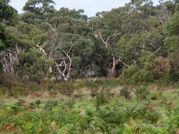 Fourth view of Homely house listing, 385 Limestone Road, Boneo VIC 3939