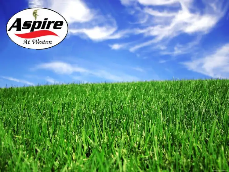 Lot 8 Aspire at Weston, Weston NSW 2326