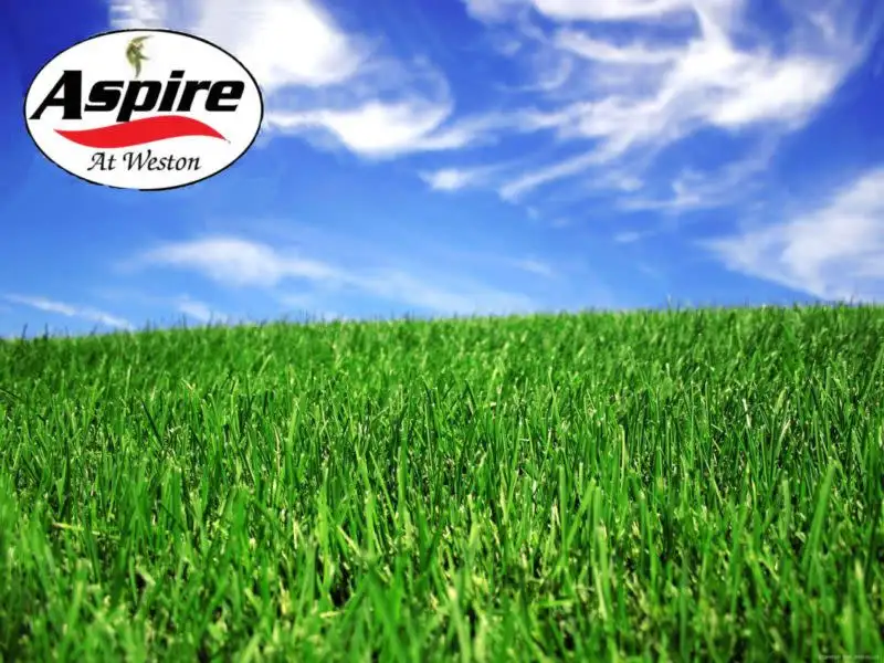 Main view of Homely land listing, Lot 8 Aspire at Weston, Weston NSW 2326