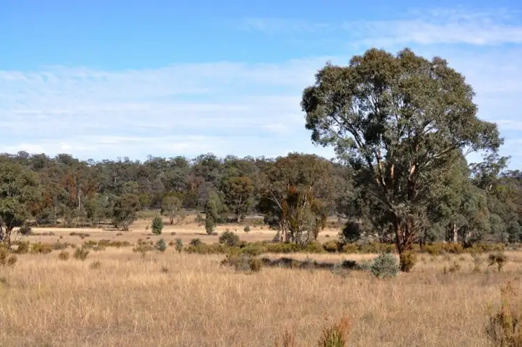 Third view of Homely rural property listing, 01072 Blue Springs Road, Gulgong NSW 2852