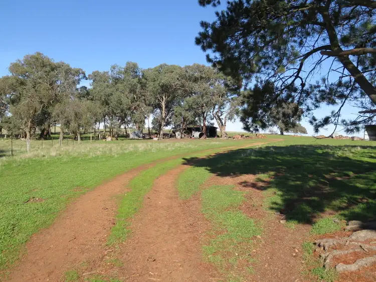 Seventh view of Homely house listing, 1075 Seymour Tooborac Road, Seymour VIC 3660