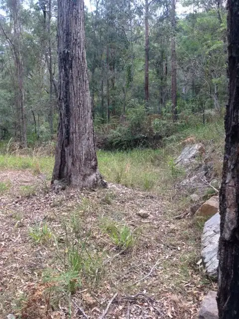 Fourth view of Homely land listing, 970 Kungala Rd, Lanitza NSW 2460