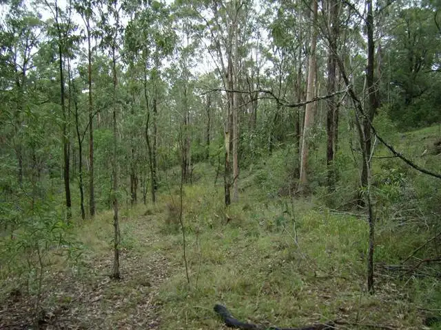Seventh view of Homely land listing, LOT 1531 Parishs Hill Road, Hilldale NSW 2420