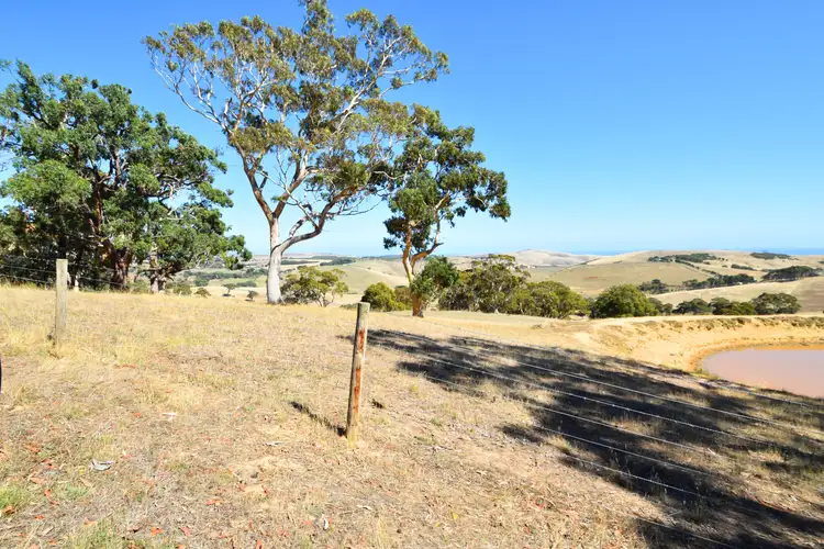 Second view of Homely rural property listing, Lot 19 Forest Road, Delamere SA 5204
