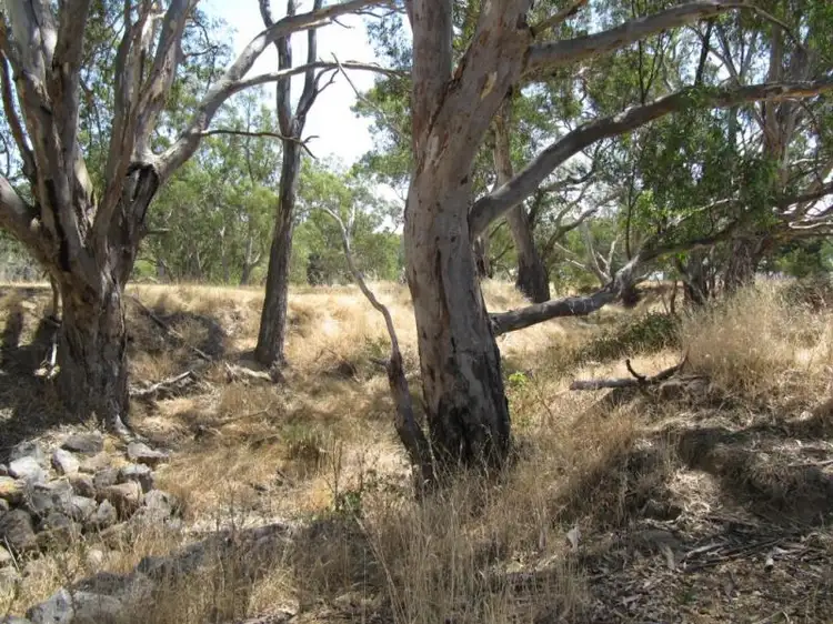 Fifth view of Homely land listing, 4252-4258 Calder Highway, Ravenswood South VIC 3453