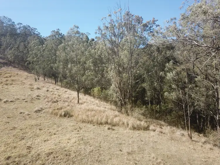 Fifth view of Homely rural property listing, Lot 1 DP 369809 Off Quartpot Creek Road, Underbank Via, Dungog NSW 2420