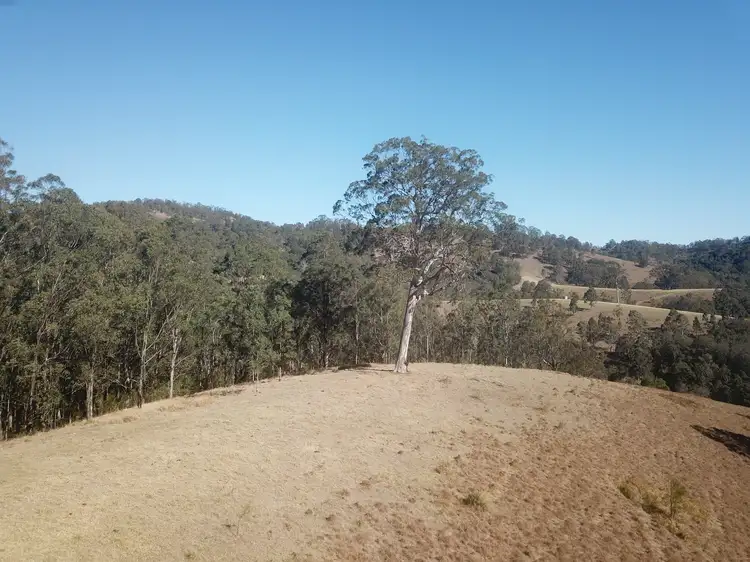 Sixth view of Homely rural property listing, Lot 1 DP 369809 Off Quartpot Creek Road, Underbank Via, Dungog NSW 2420