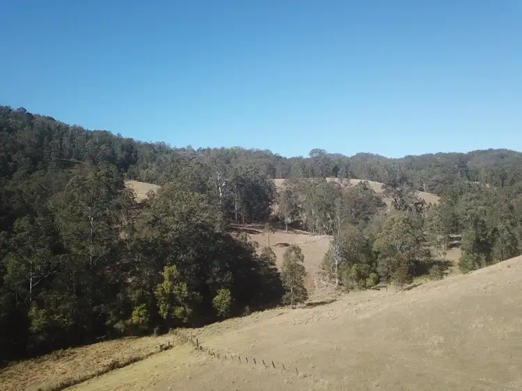 Seventh view of Homely rural property listing, Lot 1 DP 369809 Off Quartpot Creek Road, Underbank Via, Dungog NSW 2420