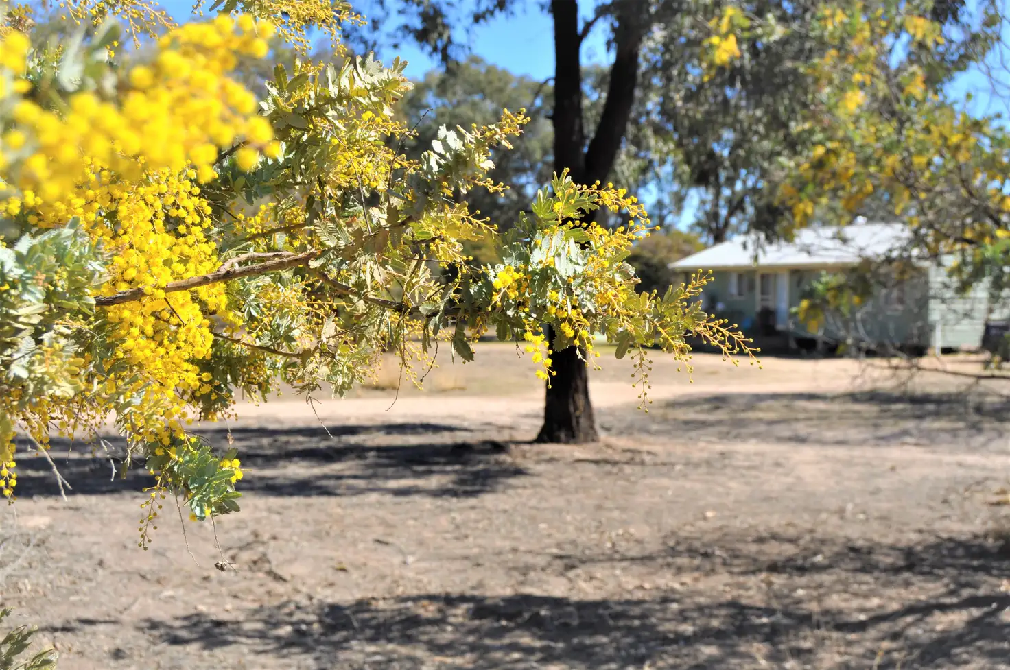 Main view of Homely rural property listing, 83 Mount View Road, Mudgee NSW 2850
