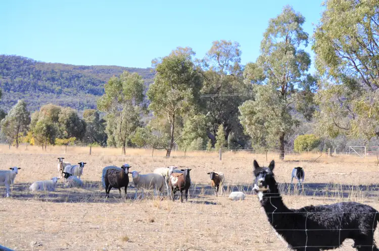Sixth view of Homely rural property listing, 83 Mount View Road, Mudgee NSW 2850