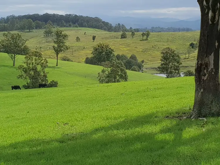 Second view of Homely rural property listing, Lot 5 Ebsworth Road, Glen Martin NSW 2321