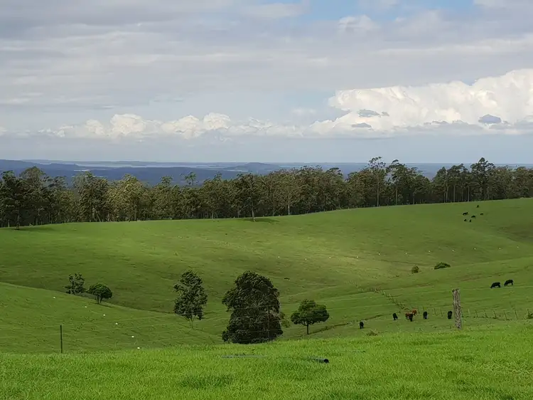 Fourth view of Homely rural property listing, Lot 5 Ebsworth Road, Glen Martin NSW 2321