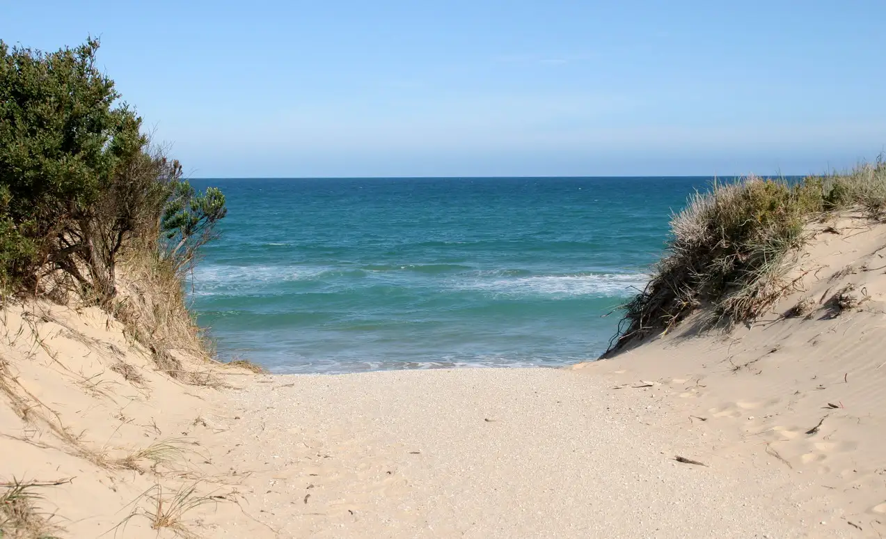 Main view of Homely land listing, 4 Grenfell Drive, The Honeysuckles VIC 3851