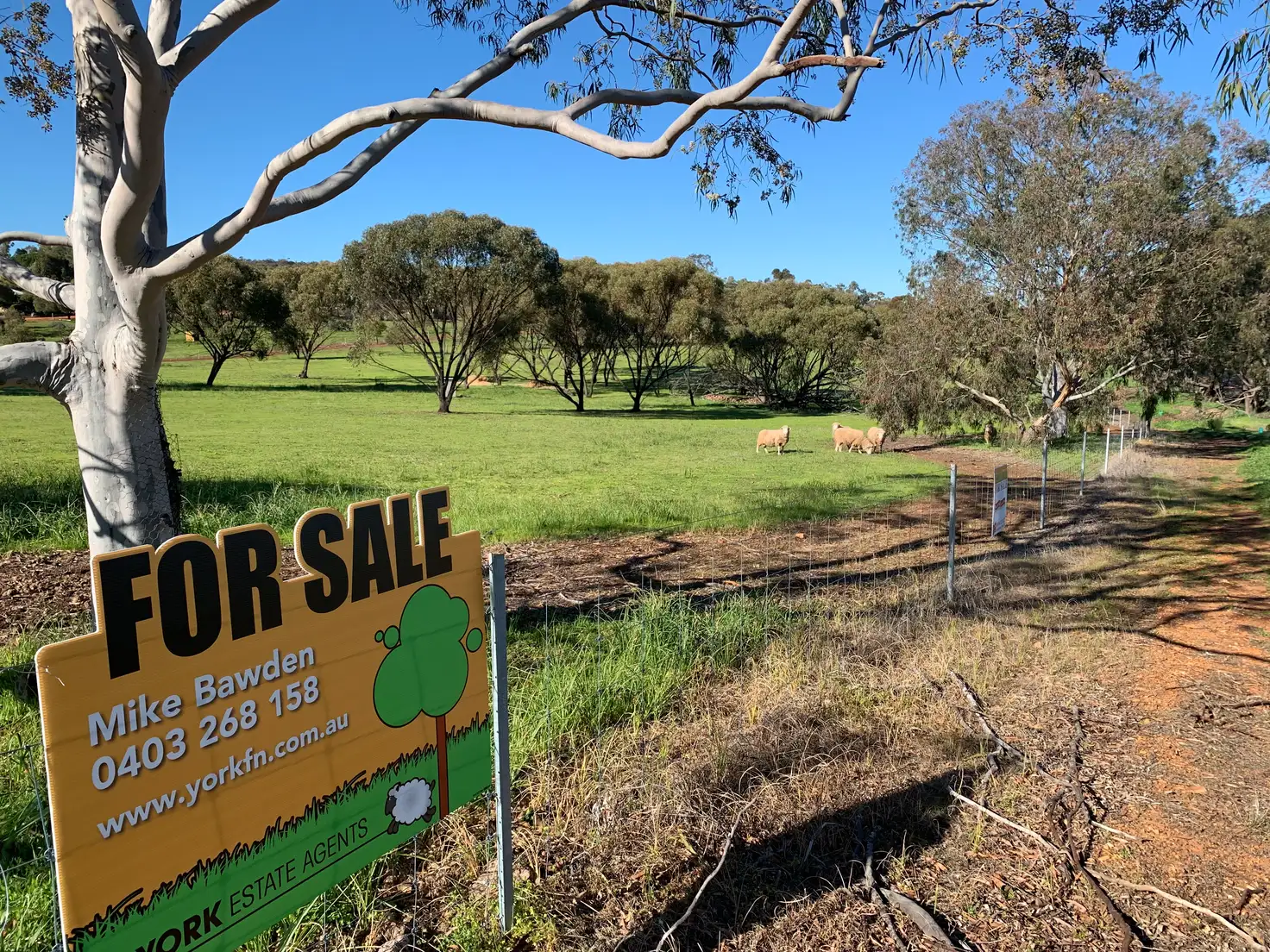 Main view of Homely land listing, LOT 61 Attfield Road, York WA 6302