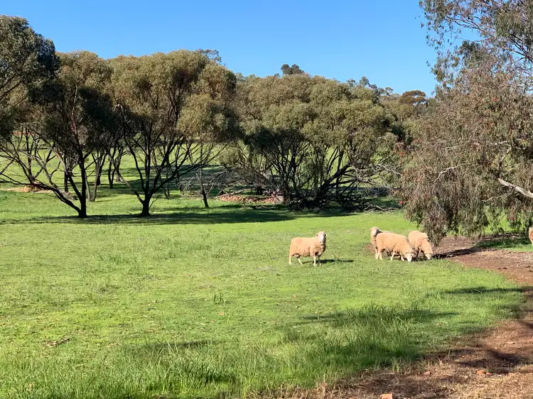 Fifth view of Homely land listing, LOT 61 Attfield Road, York WA 6302