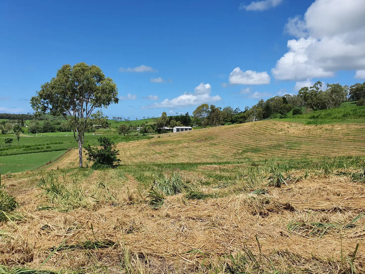 Main view of Homely land listing, 91 Coleshill Drive, Alligator Creek QLD 4740