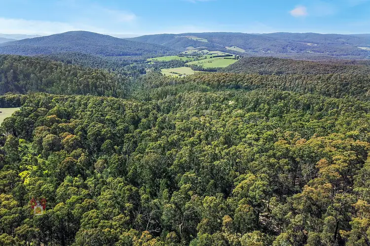 Second view of Homely land listing, 78 Johanssen Road, Kinglake VIC 3763