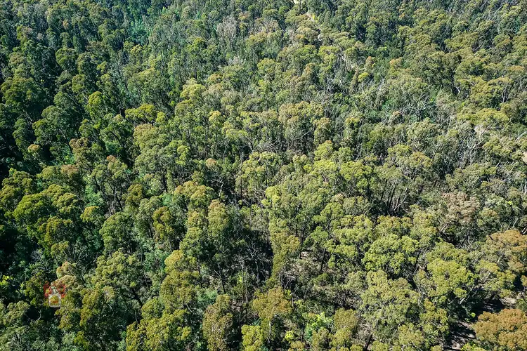 Third view of Homely land listing, 78 Johanssen Road, Kinglake VIC 3763