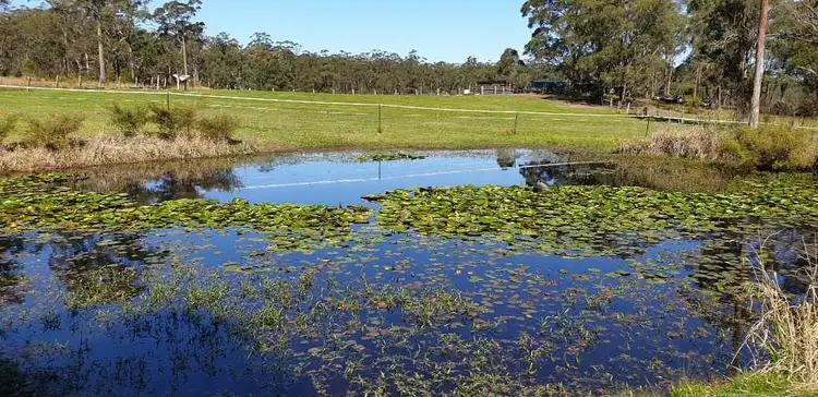 Second view of Homely rural property listing, 1319 Booral Road, Girvan NSW 2425