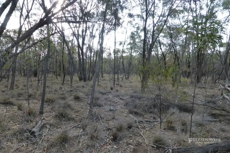 Seventh view of Homely rural property listing, Lot 17 Ducklo Gulera Road, Kumbarilla, Dalby QLD 4405