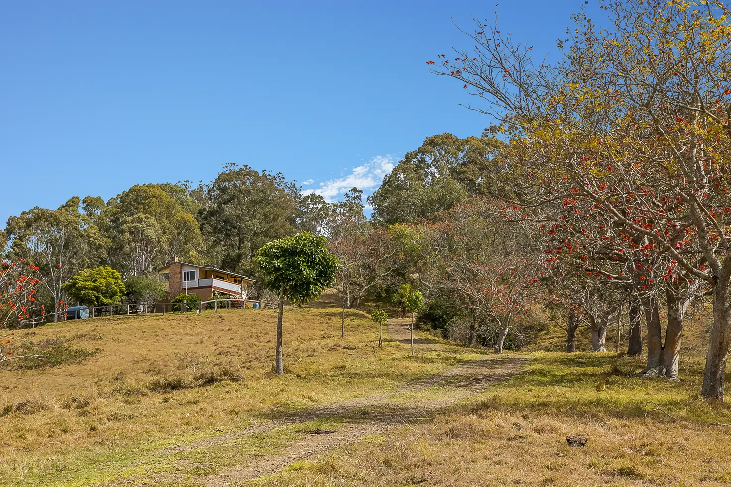 Main view of Homely rural property listing, 97 Osmonds Road, Dungog NSW 2420