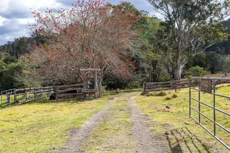 Fourth view of Homely rural property listing, 97 Osmonds Road, Dungog NSW 2420