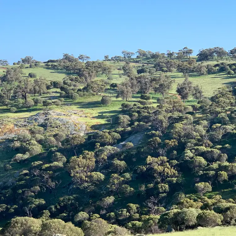 Third view of Homely rural property listing, LOT 109 Whitelakes Drive, Toodyay WA 6566