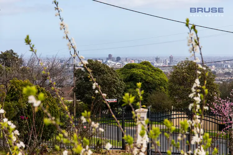 76 Dashwood Road, Beaumont SA 5066