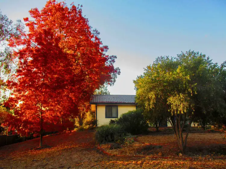 Fifth view of Homely house listing, 128A Gisborne Street, Wellington NSW 2820
