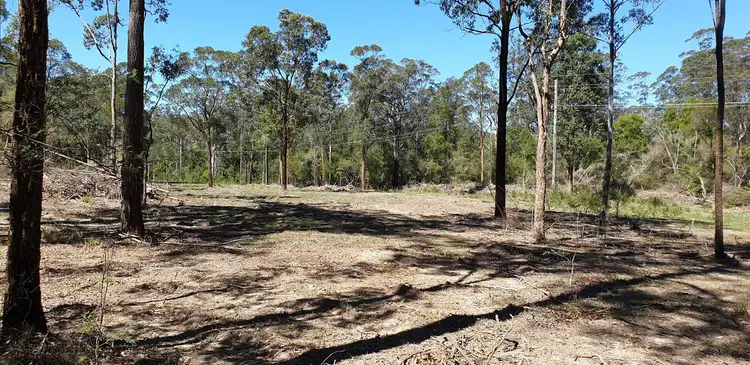 Fifth view of Homely rural property listing, Lot 100 Lowes Lane, Booral NSW 2425