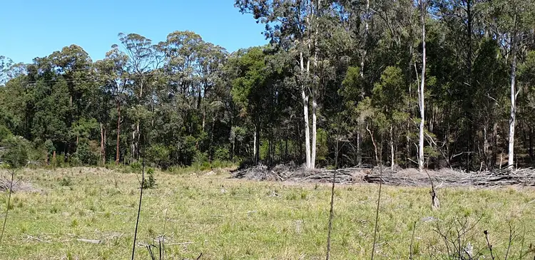 Sixth view of Homely rural property listing, Lot 100 Lowes Lane, Booral NSW 2425