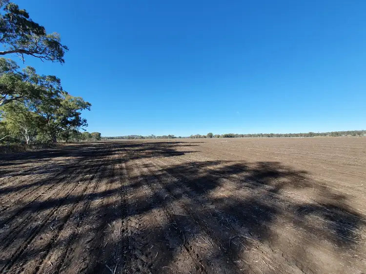 Third view of Homely rural property listing, Lot 1 Condamine River Road, Pratten QLD 4370