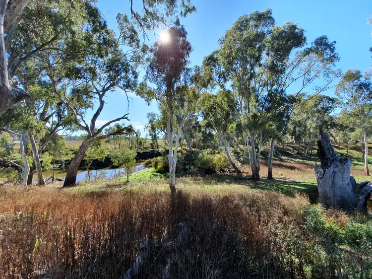 Fifth view of Homely rural property listing, Lot 1 Condamine River Road, Pratten QLD 4370