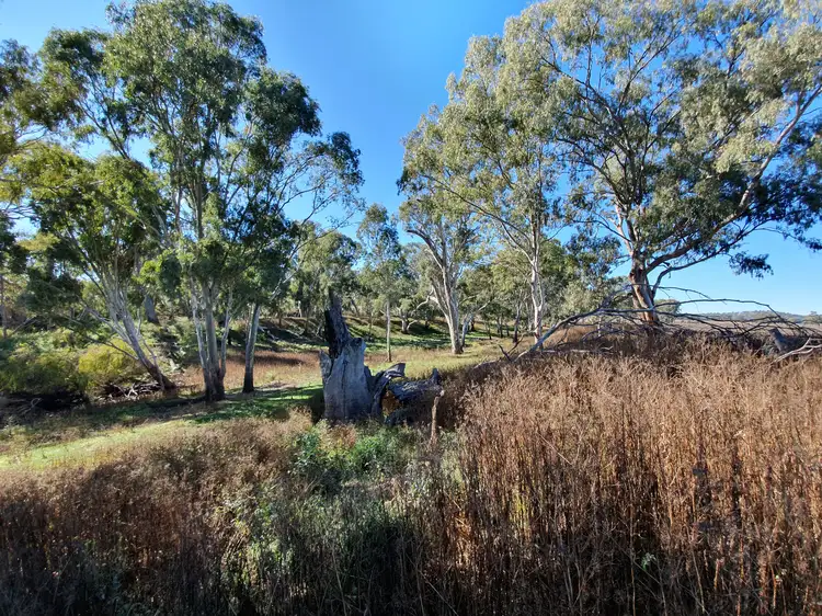 Sixth view of Homely rural property listing, Lot 1 Condamine River Road, Pratten QLD 4370