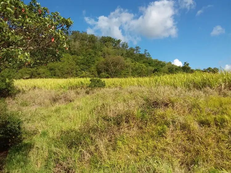 Main view of Homely rural property listing, Lot 56 Yakapari-Seaforth Road, Mount Jukes QLD 4740