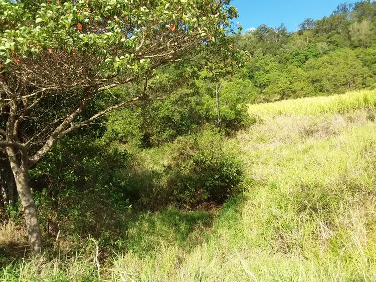 Second view of Homely rural property listing, Lot 56 Yakapari-Seaforth Road, Mount Jukes QLD 4740
