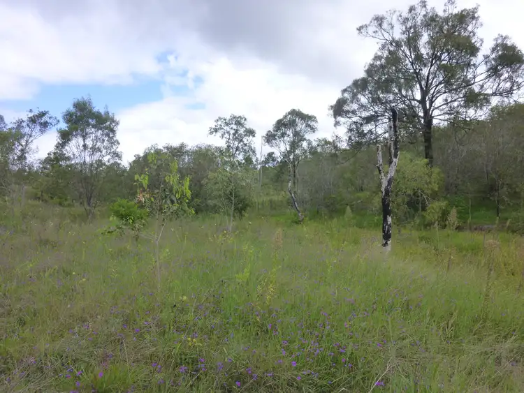 Seventh view of Homely rural property listing, LOT 56 MT GOONANEMAN ROAD, Dallarnil QLD 4621