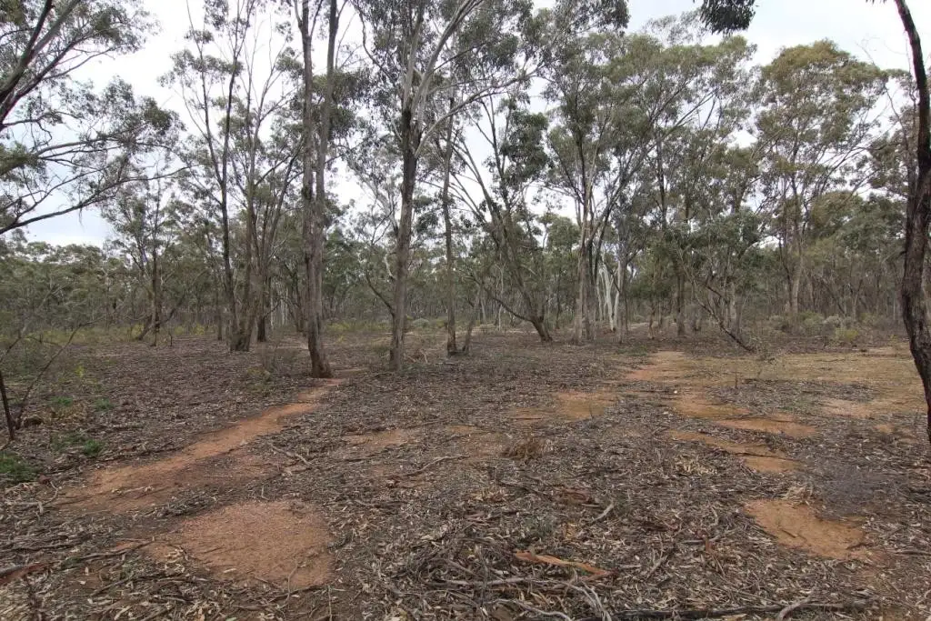 Main view of Homely land listing, CA41B/Sec K Russell Road, Neilborough VIC 3570