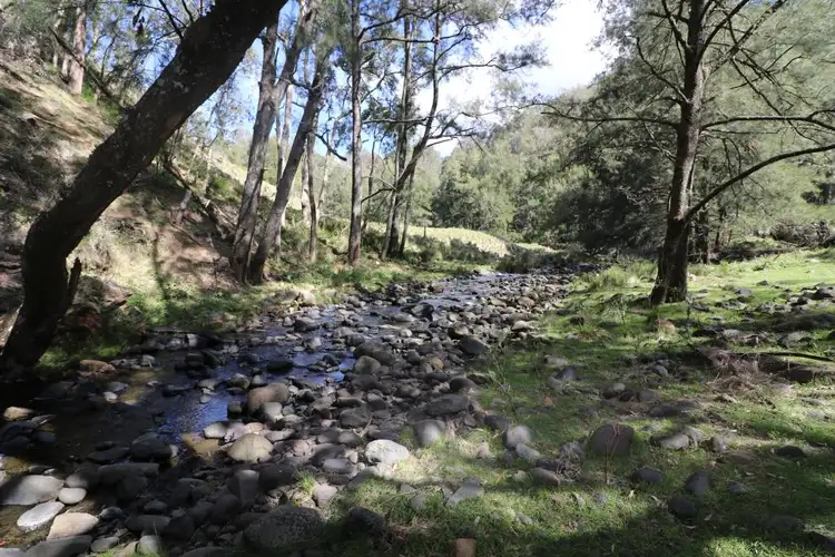 Second view of Homely rural property listing, Lot 169 Carters Road, Stewarts Brook NSW 2337