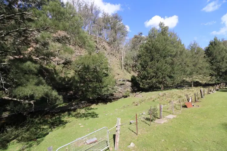 Sixth view of Homely rural property listing, Lot 169 Carters Road, Stewarts Brook NSW 2337
