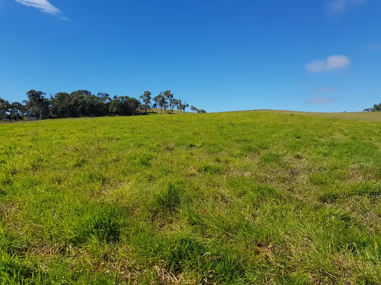 Main view of Homely land listing, 82 Droughtmaster Drive, Hay Point QLD 4740