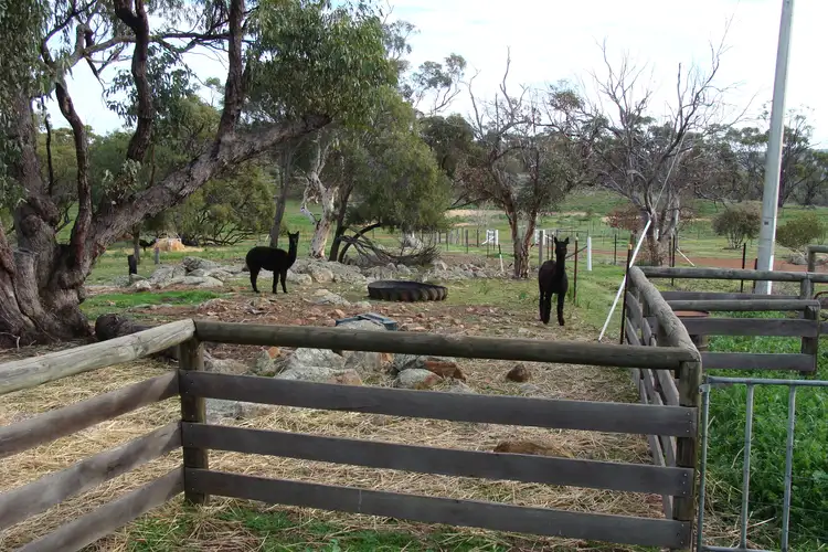 Seventh view of Homely rural property listing, 4246 Great Southern Highway, York WA 6302