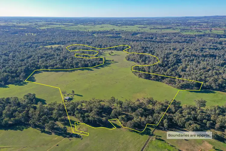 Main view of Homely rural property listing, 566 Wangaratta-Yarrawonga Road, Waldara VIC 3678