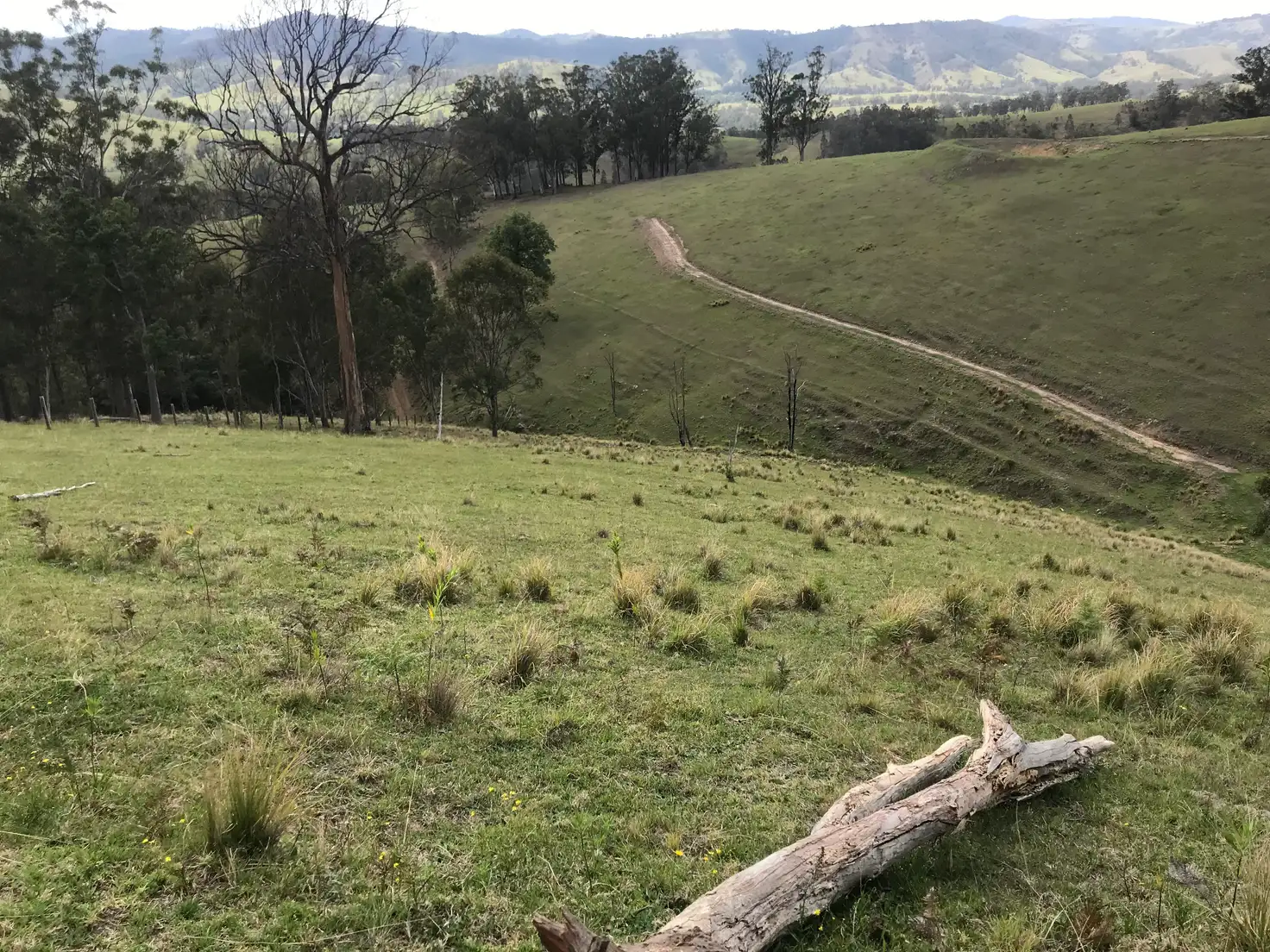 Main view of Homely rural property listing, 78 Masseys Creek Road, Eccleston Via, East Gresford NSW 2311