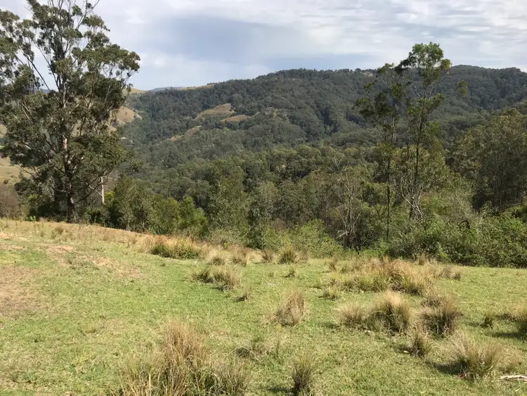 Second view of Homely rural property listing, 78 Masseys Creek Road, Eccleston Via, East Gresford NSW 2311