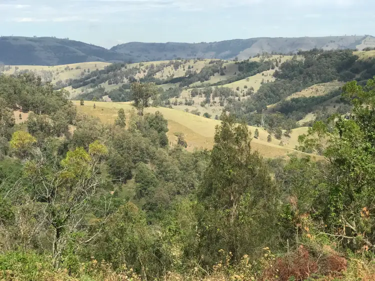 Third view of Homely rural property listing, 78 Masseys Creek Road, Eccleston Via, East Gresford NSW 2311